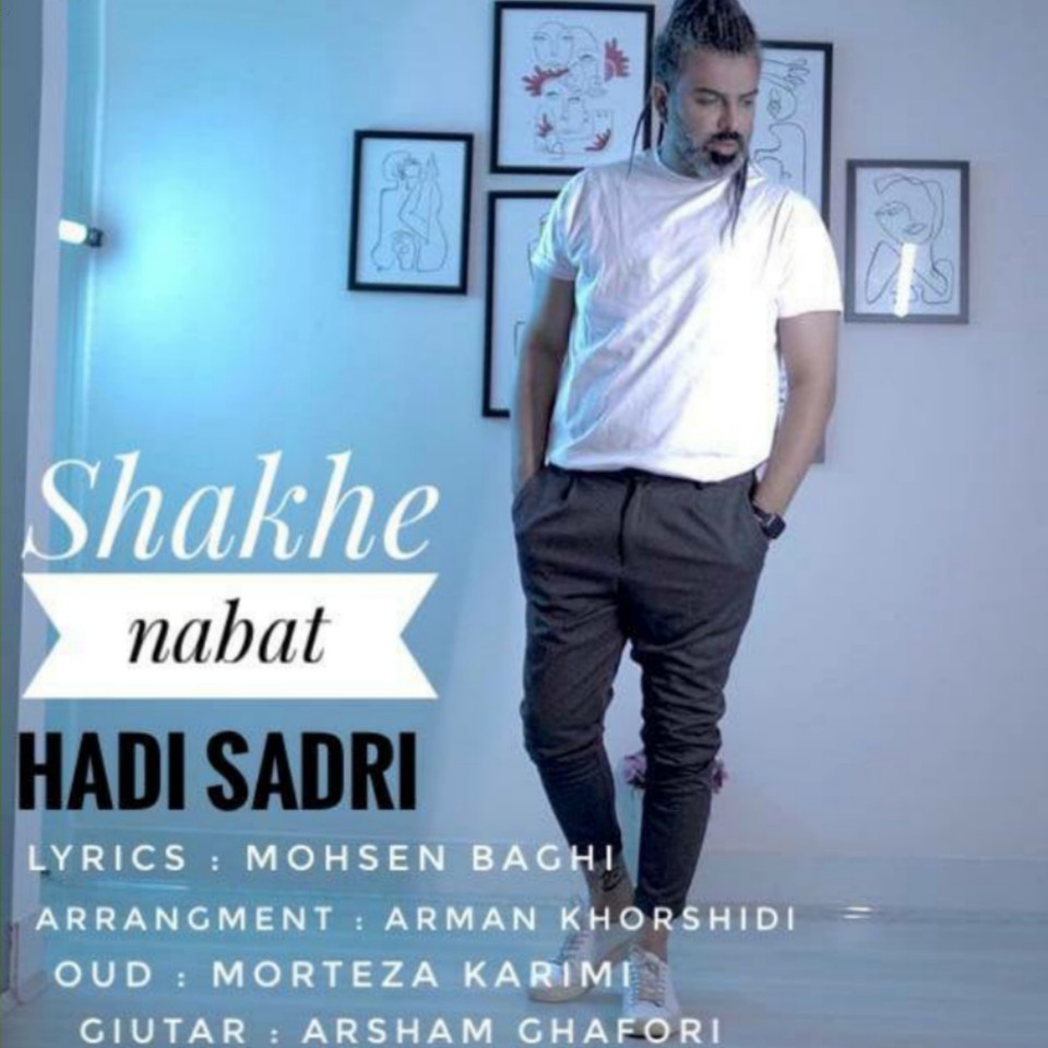 دانلود آهنگ شاخه نبات هادی صدری